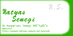matyas semegi business card